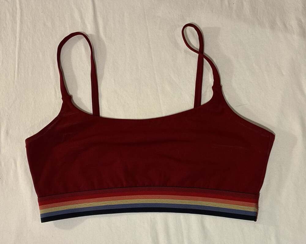 Marine Layer Red Garter Belt with Rainbow Waistband